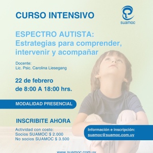 Espectro autista: Estrategias para comprender, intervenir y acompa&ntilde;ar