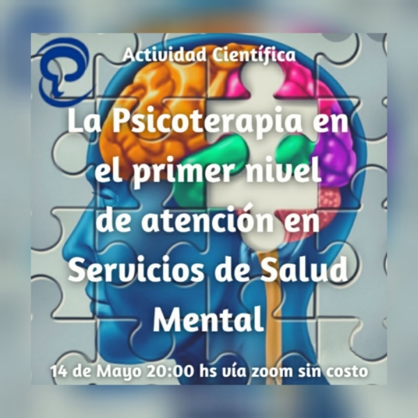 La psicoterapia en el primer nivel de atenci&oacute;n en Servicios de Salud Mental